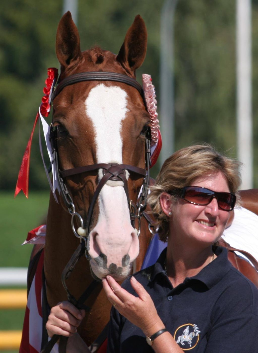 Downgate Farm LLP Livery